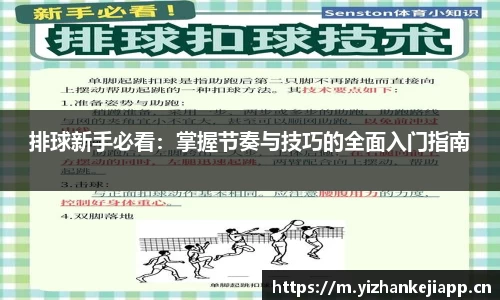熊猫体育官网网址